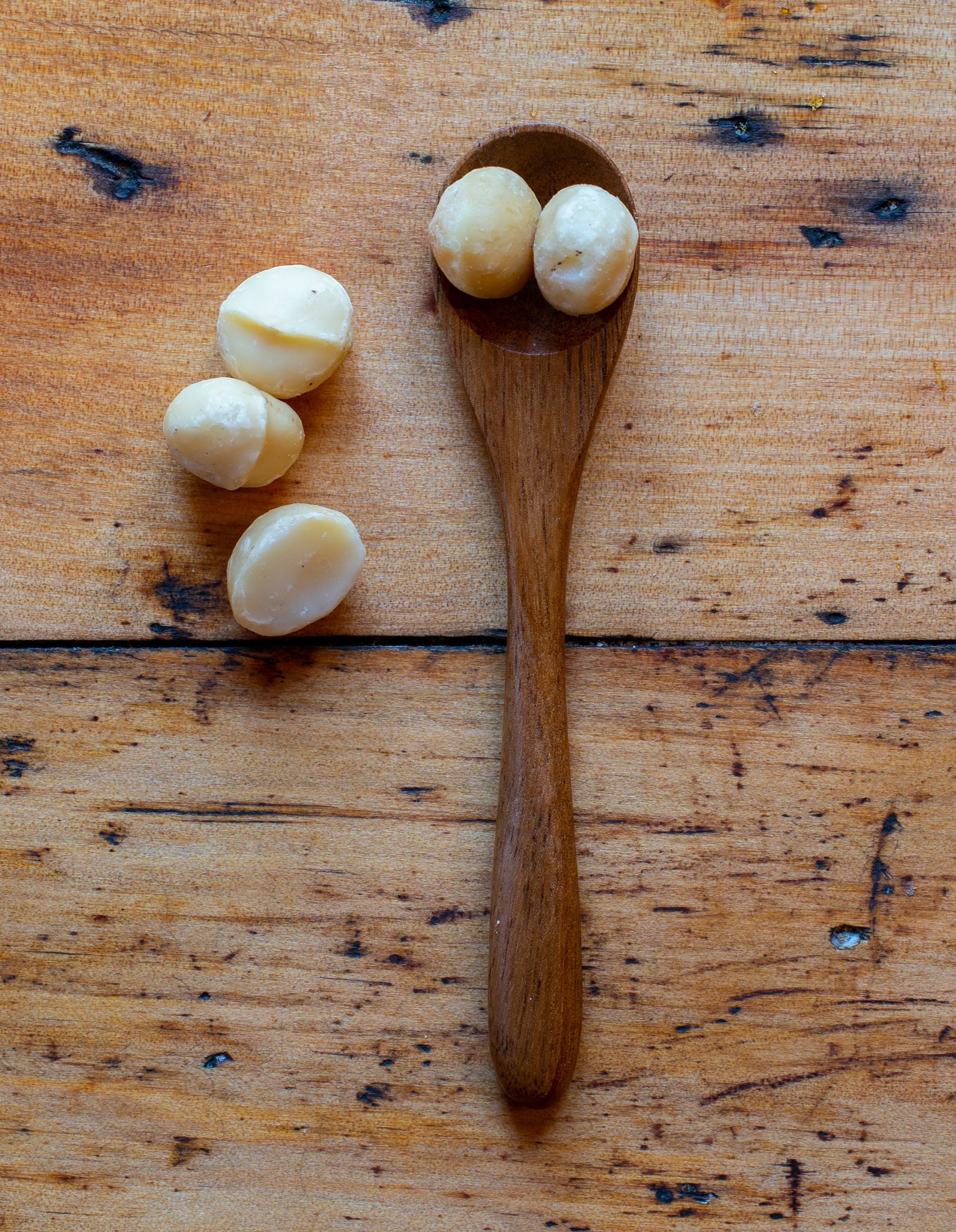 MACADAMIA-min-min